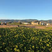 Review photo of Half Moon Bay State Beach Campground by Alicia F., October 25, 2018