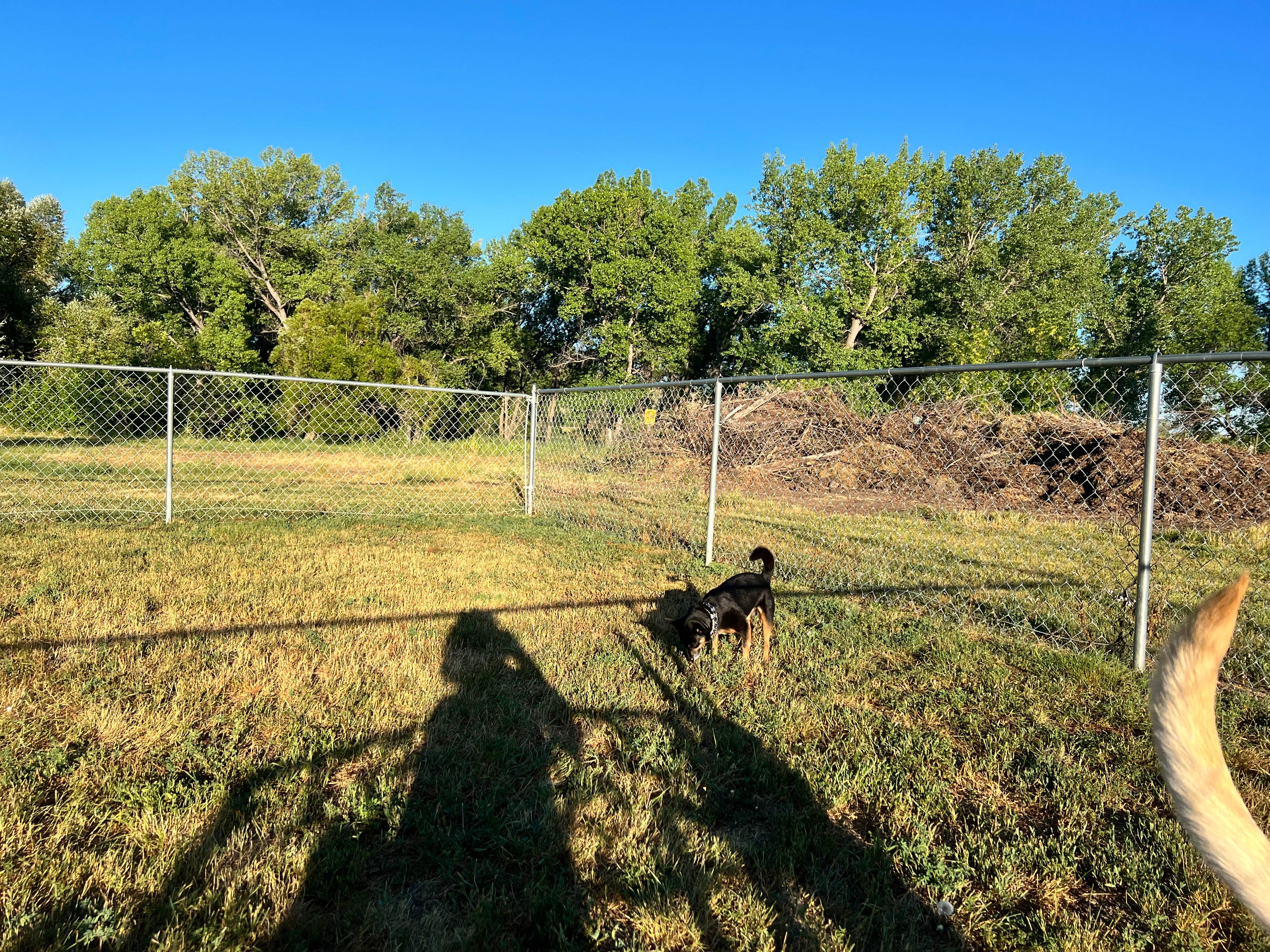 Maggie  C.'s photo of camping with pets at Sheridan/Big Horn Mountains KOA near Buffalo, WY
