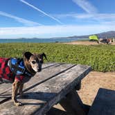 Review photo of Half Moon Bay State Beach Campground by Alicia F., October 25, 2018