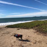 Review photo of Half Moon Bay State Beach Campground by Alicia F., October 25, 2018