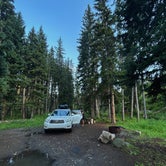 Review photo of East Boulder Campground by Alyson M., July 31, 2023