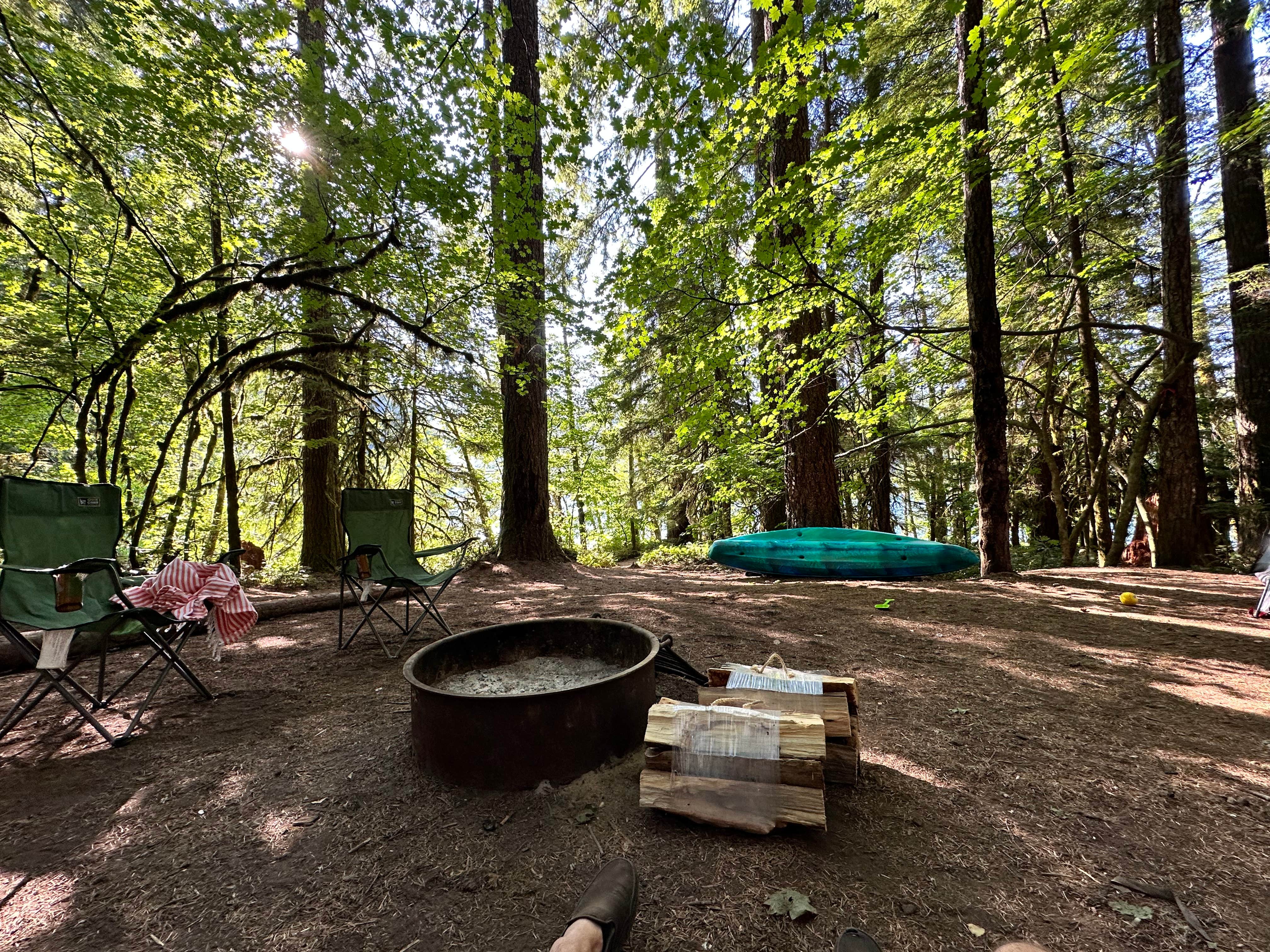 Derek N.'s photo at Cove Creek near Idanha, OR