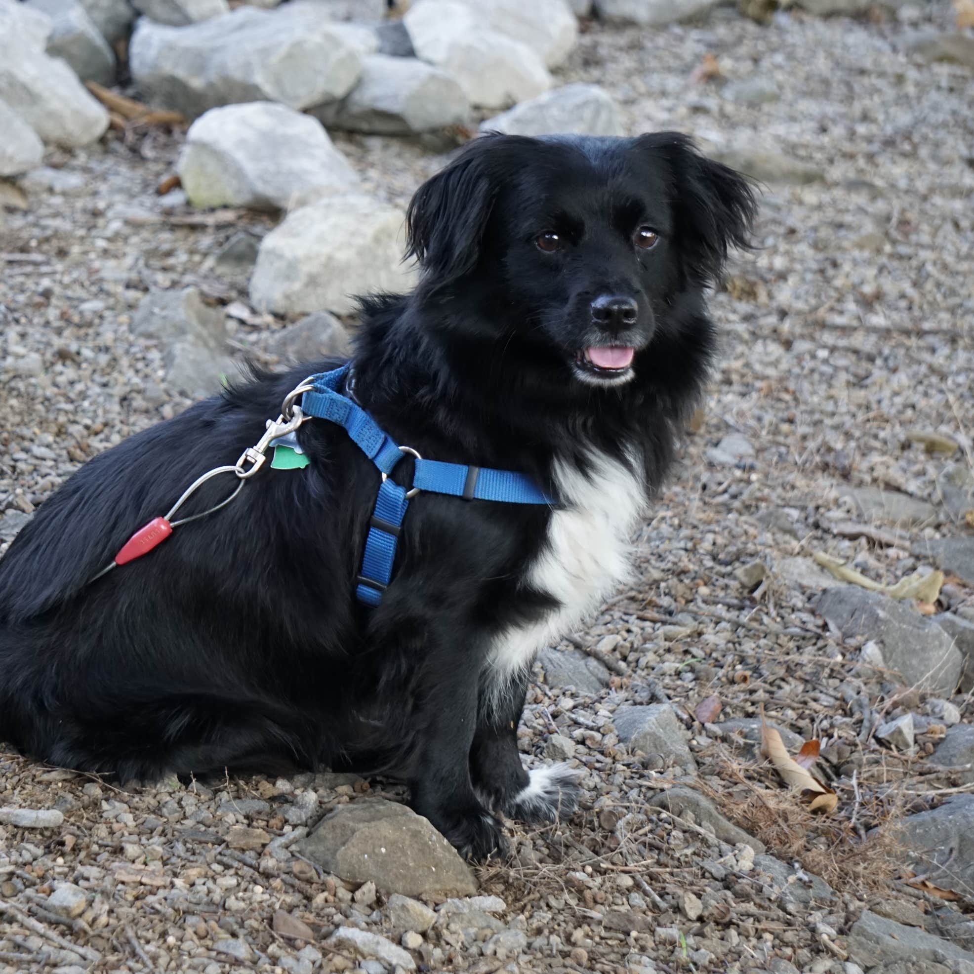 COE Rough River Lake Axtel Campground Mcdaniels, KY