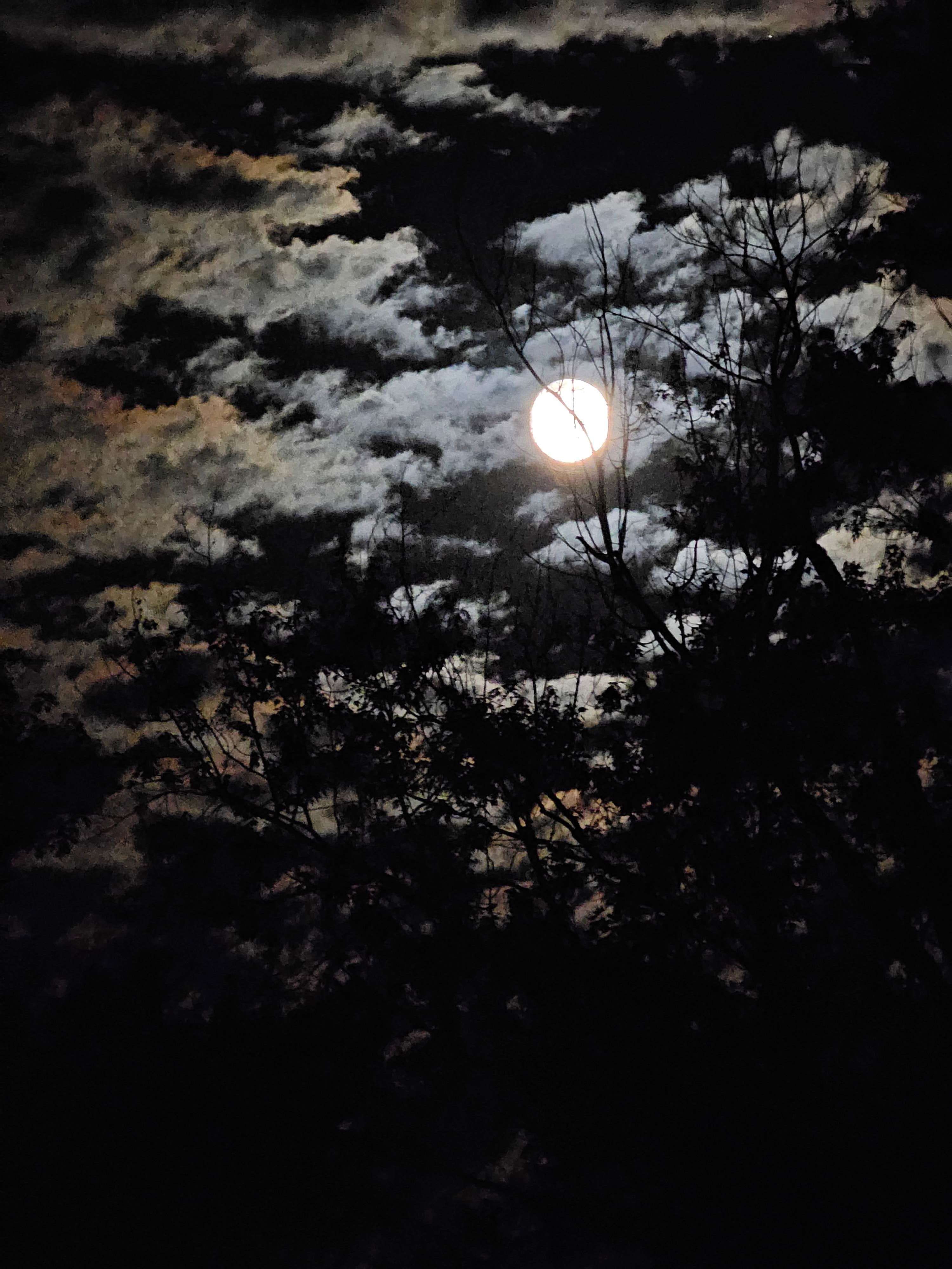 Camper-submitted photo at Fredericksburg Ferry Access near Marthasville, MO