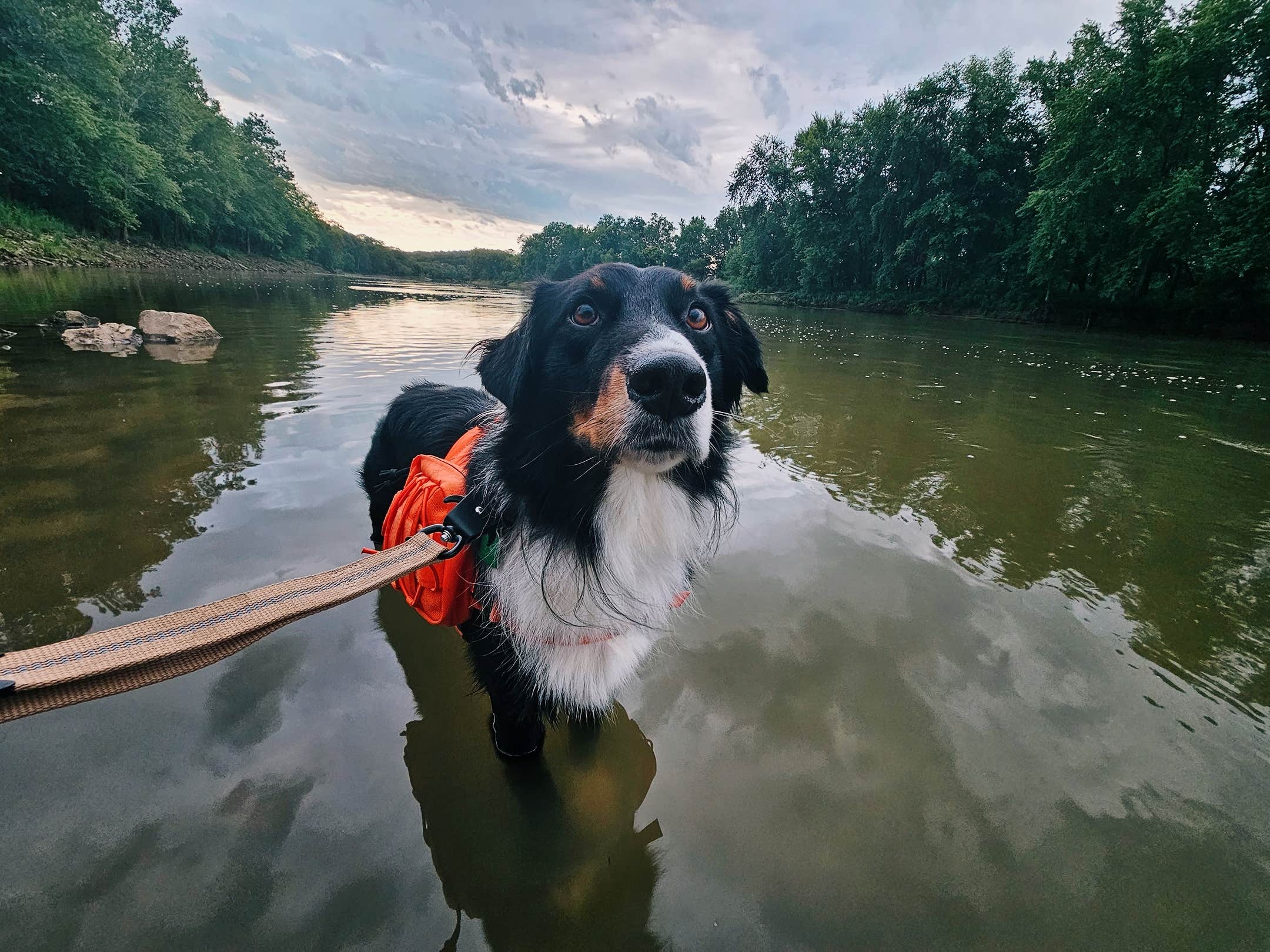 Jaxsen B.'s photo of camping with pets at Fredericksburg Ferry Access near Columbia, MO