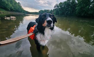 Jaxsen B.'s photo of camping with pets at Fredericksburg Ferry Access near Mexico, MO