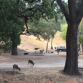 Review photo of Lopez Lake Recreation Area by Talia B., October 25, 2018