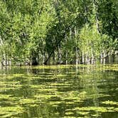 Review photo of Chatfield State Park Campground by Tracey F., July 31, 2023