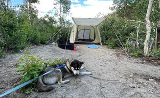 Valerie L.'s photo of camping with pets at East Fork Campground – Inyo National Forest (CA) near Bishop, CA