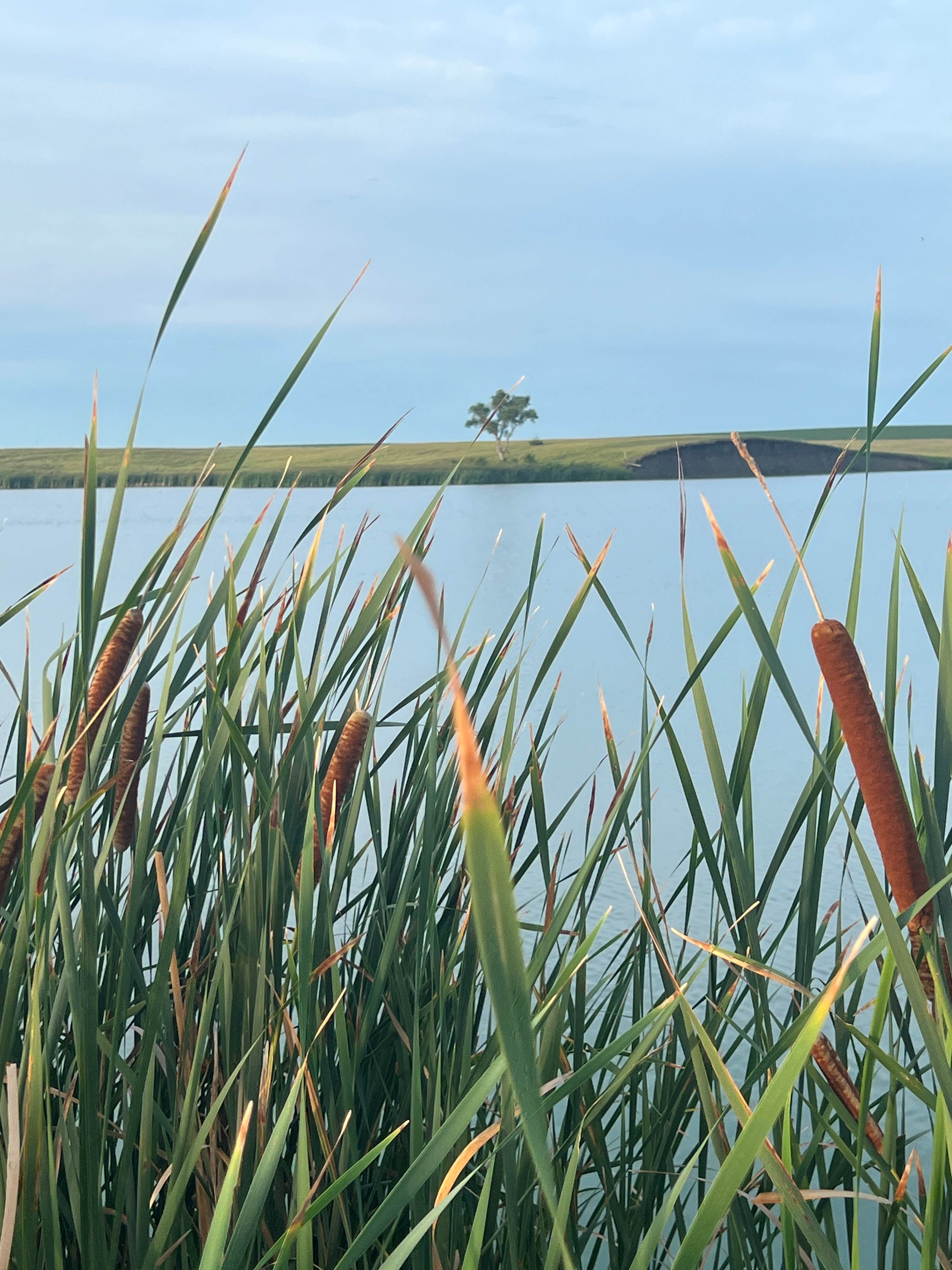 Camper submitted image from Byre Lake Recreation Area - 1