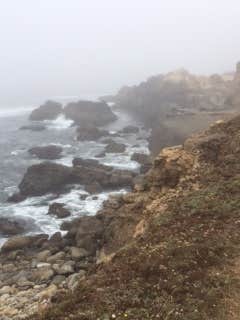 Camper submitted image from Woodside Campground — Salt Point State Park - 3
