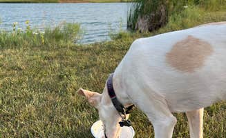 Randall K.'s photo of camping with pets at Byre Lake Recreation Area near Pierre, SD