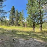 Review photo of Spring Creek Campground by Adrian , July 31, 2023