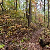 Review photo of Berryman Trail & Campgrounds - Mark Twain National Forest by Sean A., July 31, 2023