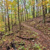 Review photo of Berryman Trail & Campgrounds - Mark Twain National Forest by Sean A., July 31, 2023