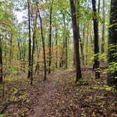 Review photo of Berryman Trail & Campgrounds - Mark Twain National Forest by Sean A., July 31, 2023