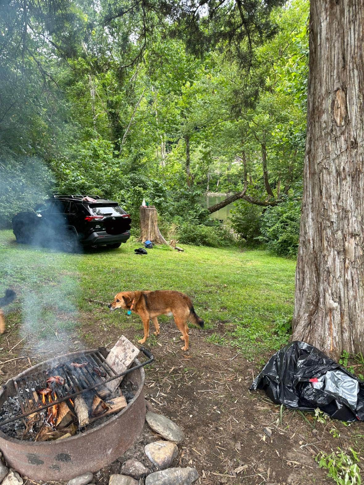 Camper-submitted photo at Breeden Bottom Campground near Thaxton, VA