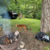 Review photo of Breeden Bottom Campground by Alison M., July 31, 2023