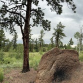 Review photo of Rampart Range Road - Dispersed Camping  by Zach B., July 31, 2023