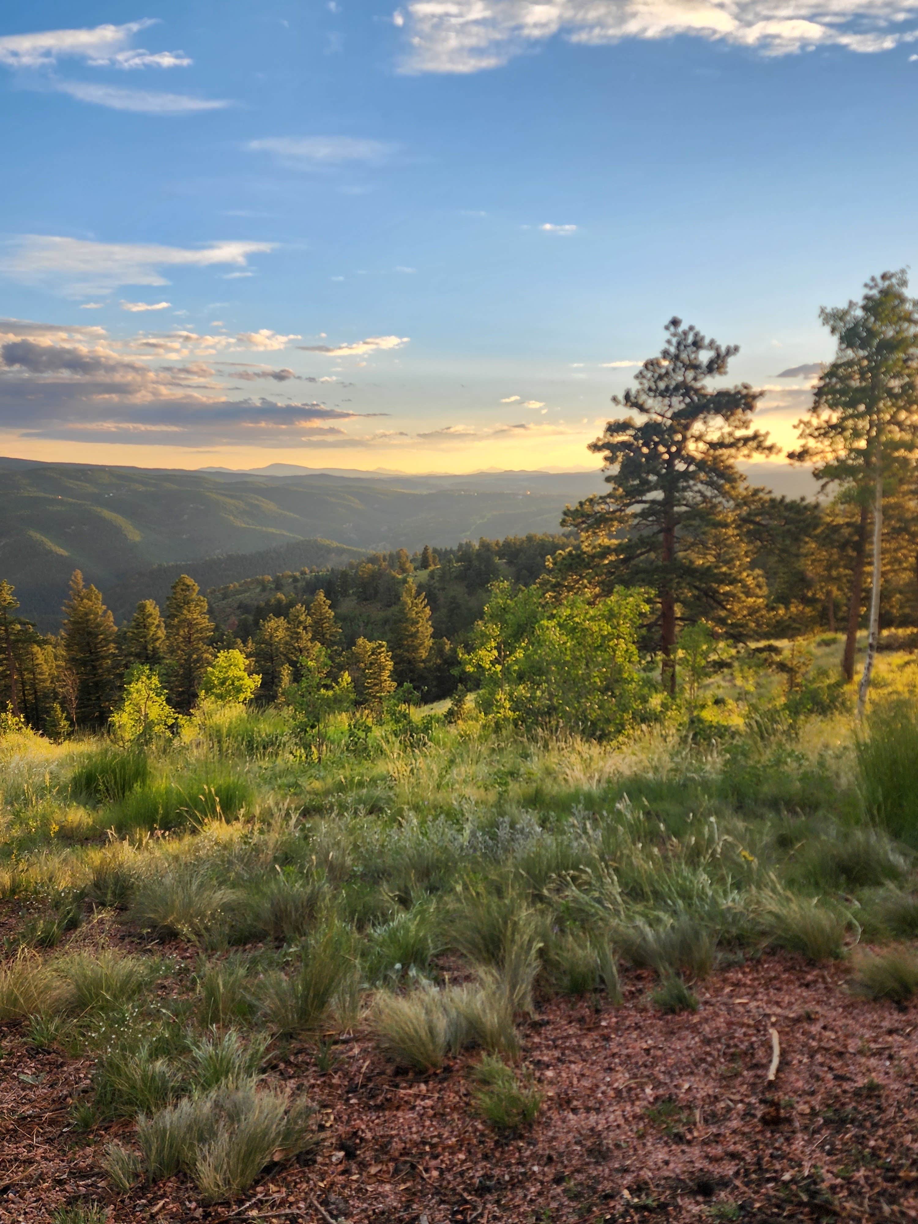 Zach B.'s photo of a dispersed camping area at Rampart Range Road - Dispersed Camping near Pueblo, CO