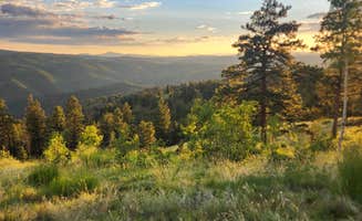 Zach B.'s photo of a dispersed camping area at Rampart Range Road - Dispersed Camping near Woodland Park, CO