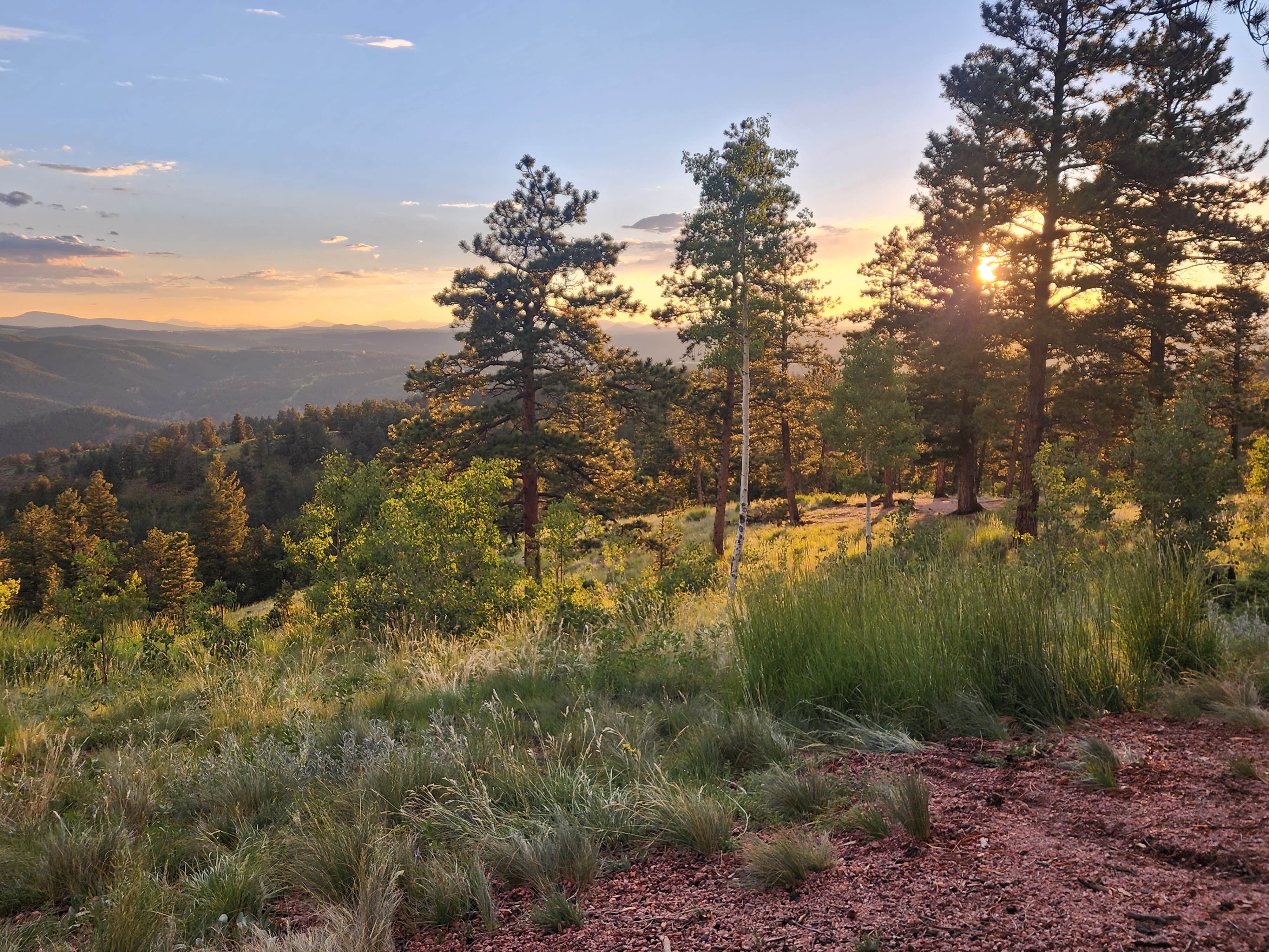 Camper-submitted photo at Rampart Range Road - Dispersed Camping near Lake George, CO