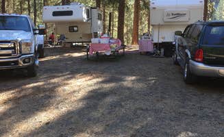 Darlene R.'s photo of rv camping at Anson Wright Memorial Park near Mitchell, OR