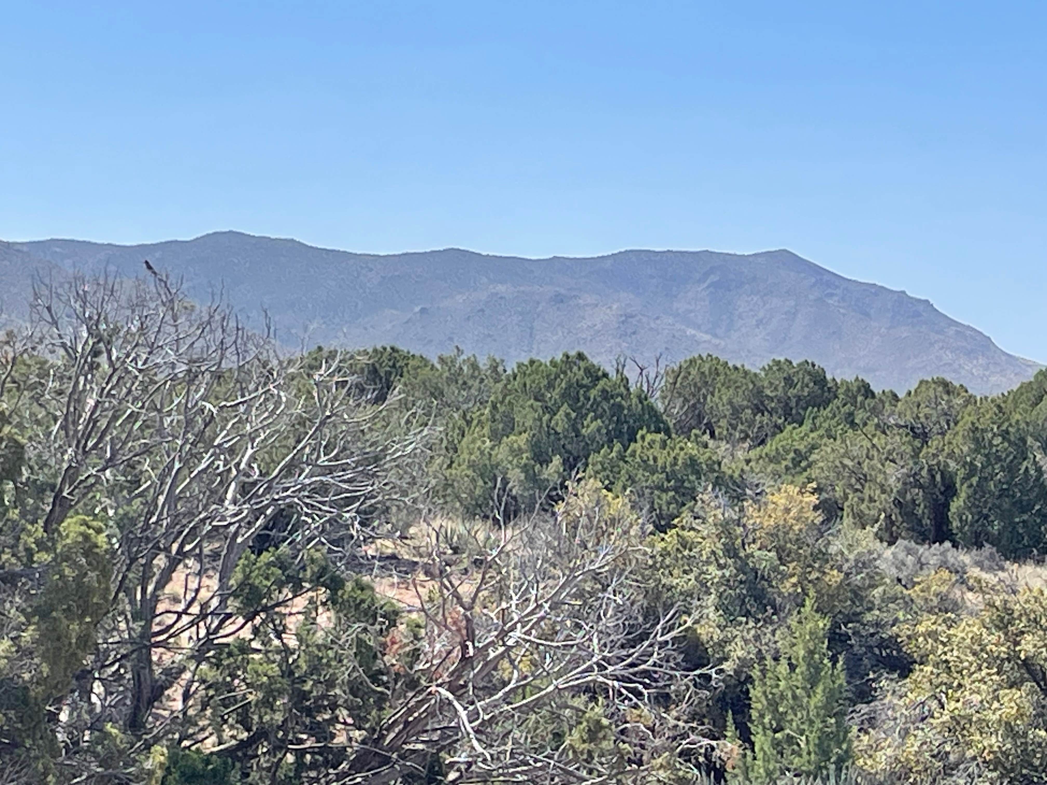 Camper-submitted photo at Sunset Campground near Peach Springs, AZ