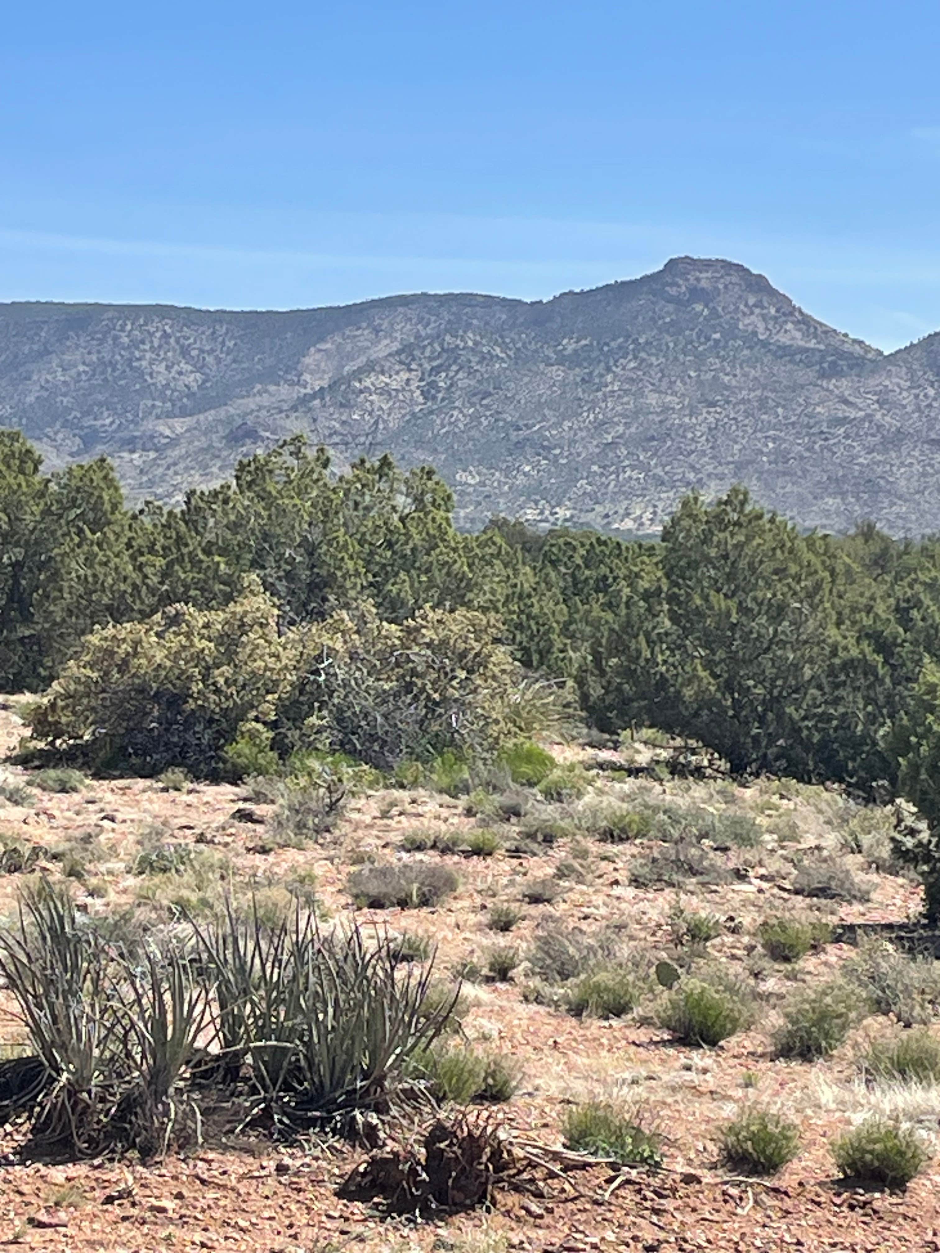 Camper-submitted photo at Sunset Campground near Peach Springs, AZ