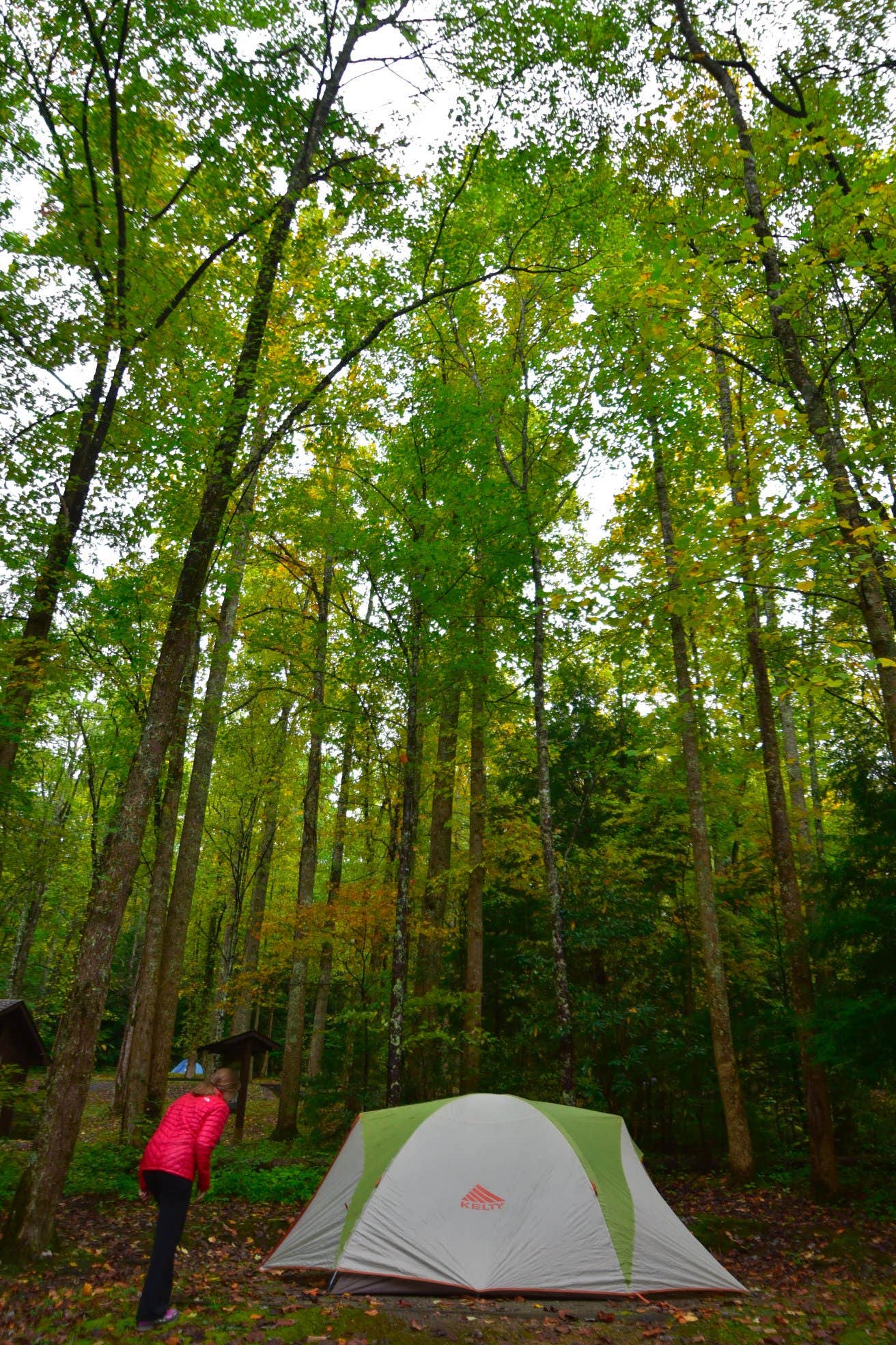 Rachel M.'s photo at Cosby Campground — Great Smoky Mountains National Park near Hartford, TN