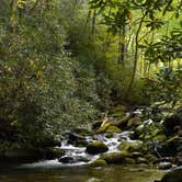 Review photo of Cosby Campground — Great Smoky Mountains National Park by Rachel M., October 25, 2018