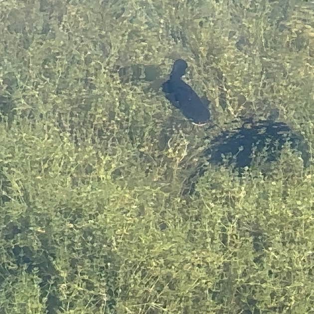 Rivers Bend Campground Iron Mountain, MI