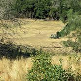 Review photo of Shooting Star Sanctuary and Retreat near Yosemite National Forest by Jennifer D., July 31, 2023