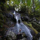 Review photo of Cosby Campground — Great Smoky Mountains National Park by Rachel M., October 25, 2018