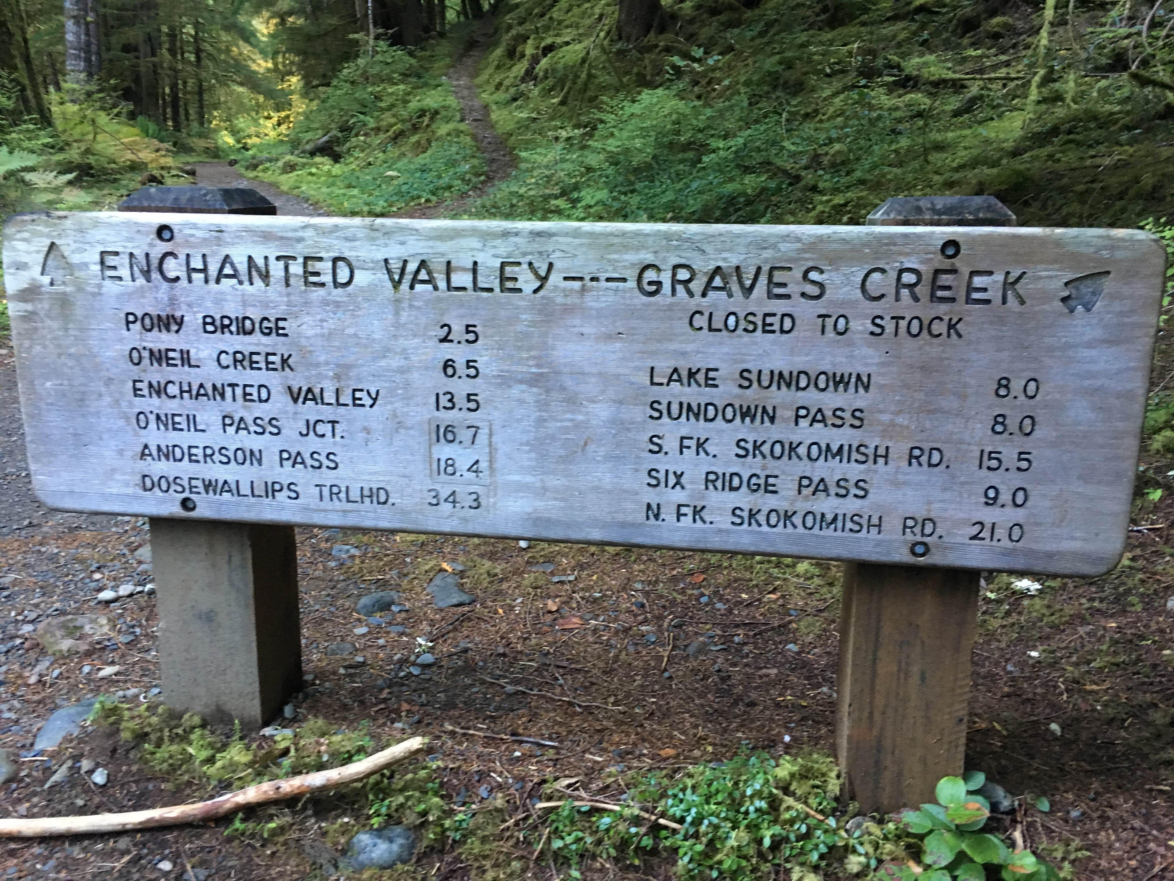 Camper submitted image from Graves Creek Campground — Olympic National Park - 5