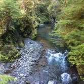 Review photo of Graves Creek Campground — Olympic National Park by Alison C., October 25, 2018