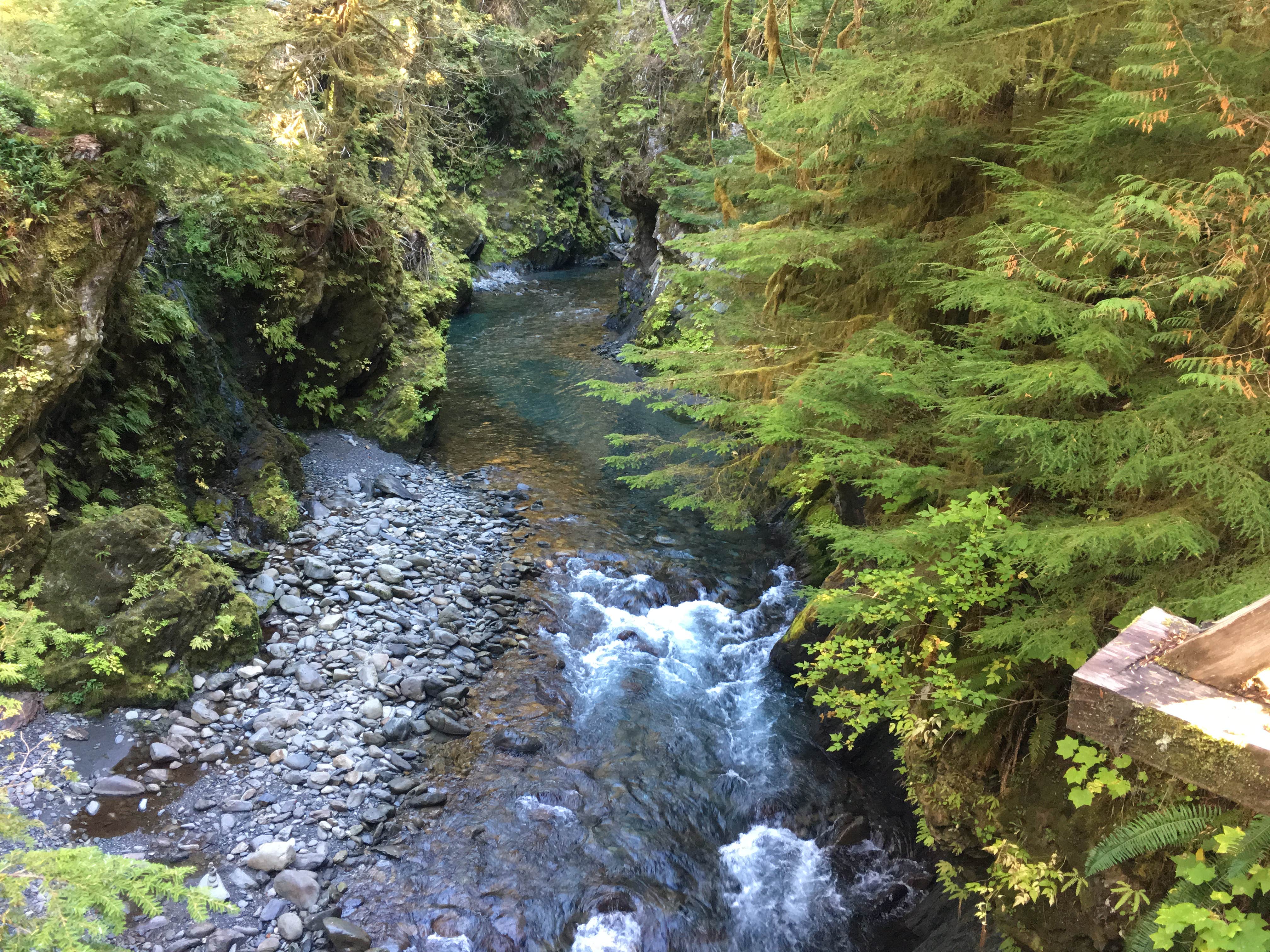 Camper submitted image from Graves Creek Campground — Olympic National Park - 3