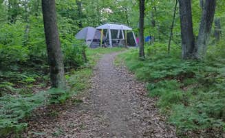 Ashley H.'s photo at Mille Lacs Kathio Petaga Campground — Mille Lacs Kathio State Park near Little Falls, MN