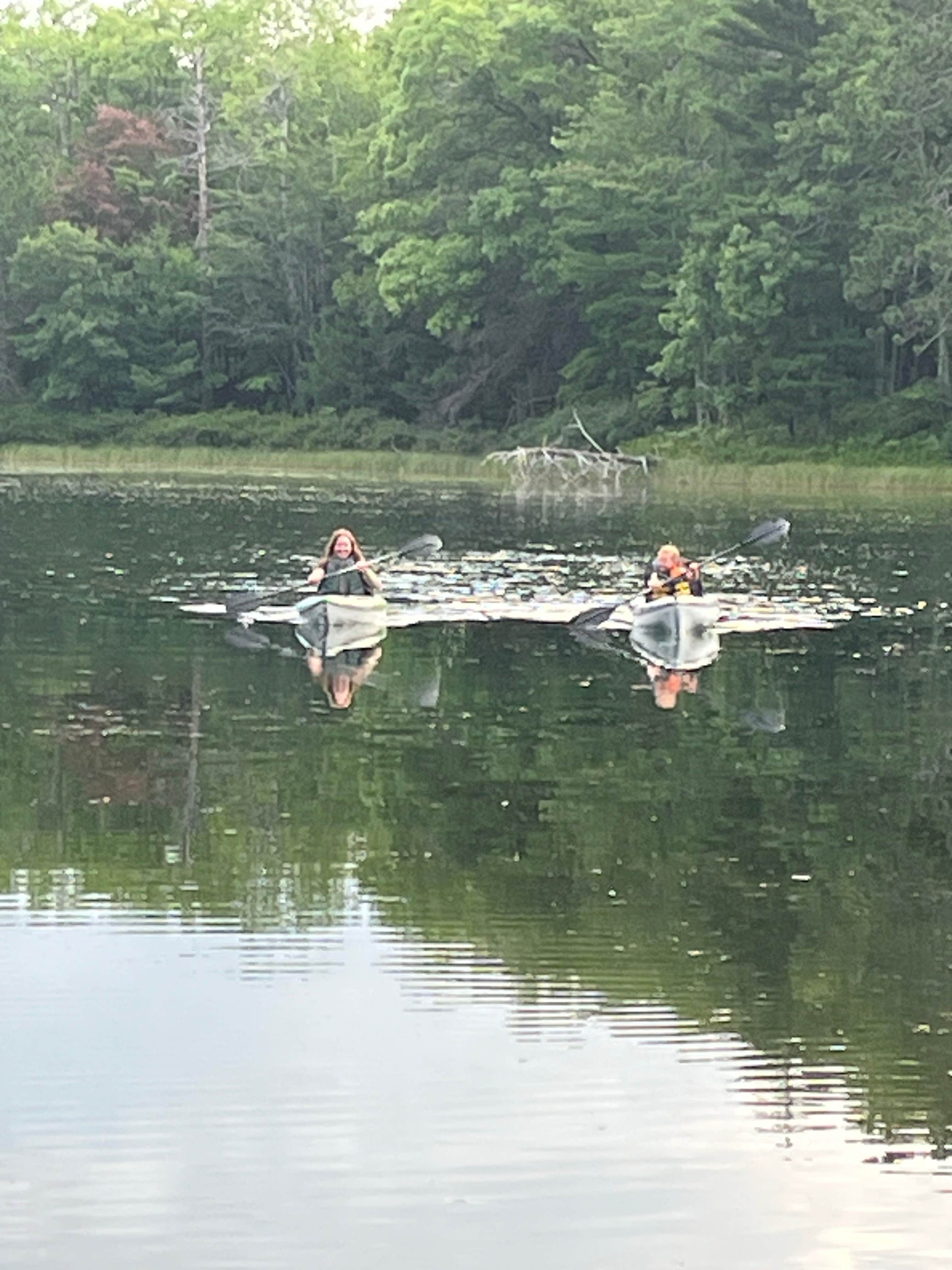 Camper submitted image from Town Corner Lake State Forest Campground - 5