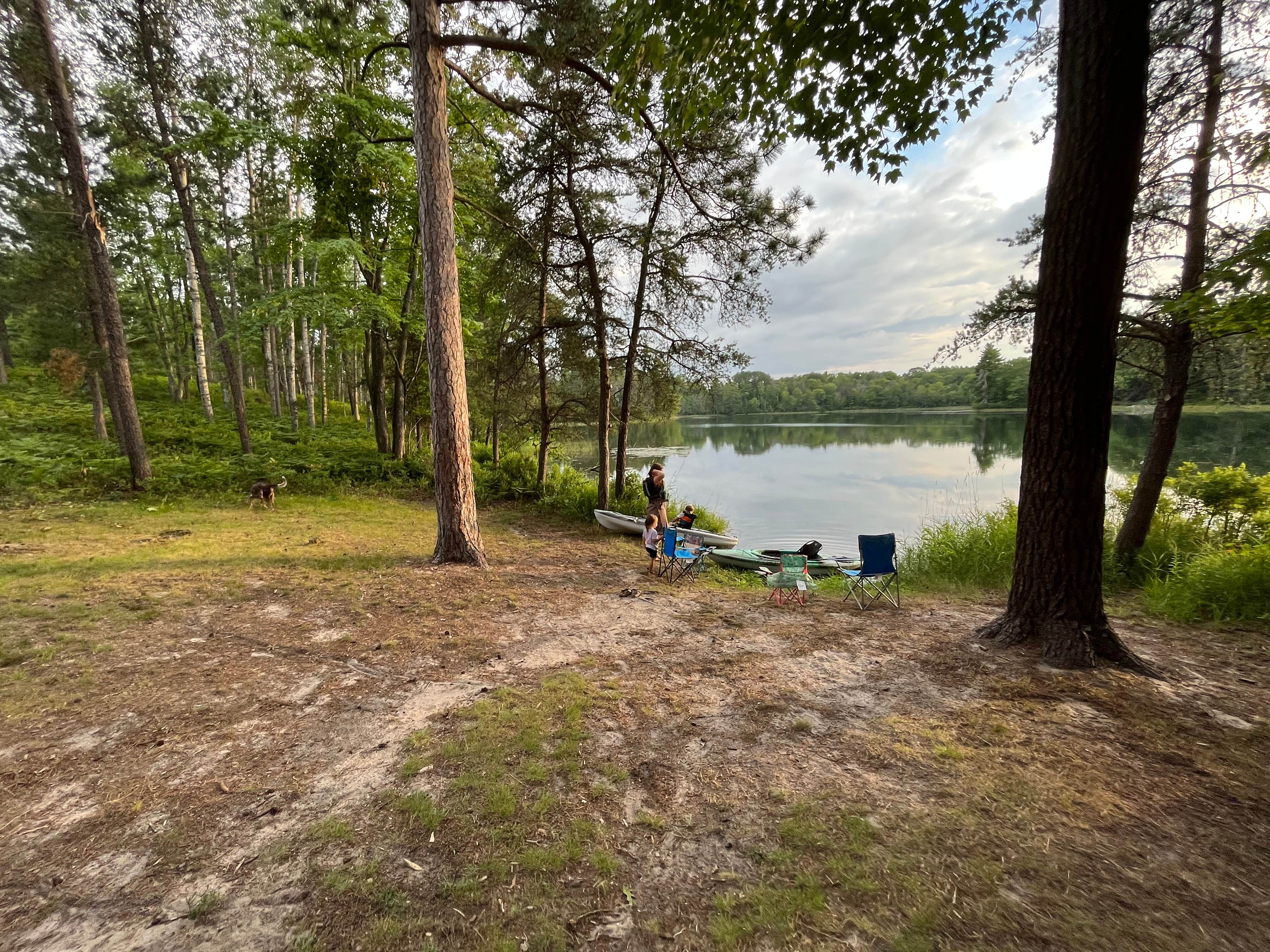 Paul C.'s photo of camping with pets at Town Corner Lake State Forest Campground near Onaway, MI