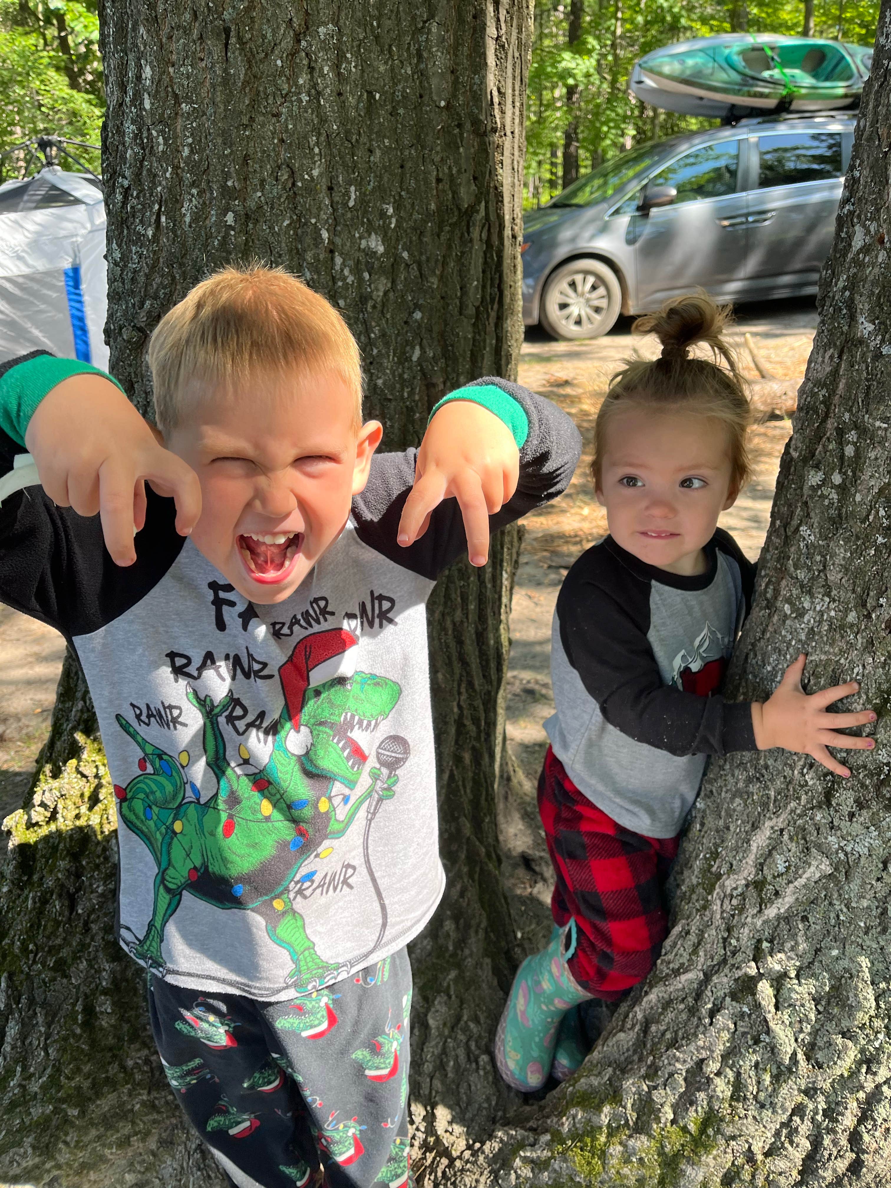 Camping near Jackson Lake State Forest Campground: Town Corner Lake State Forest Campground, Johannesburg, Michigan