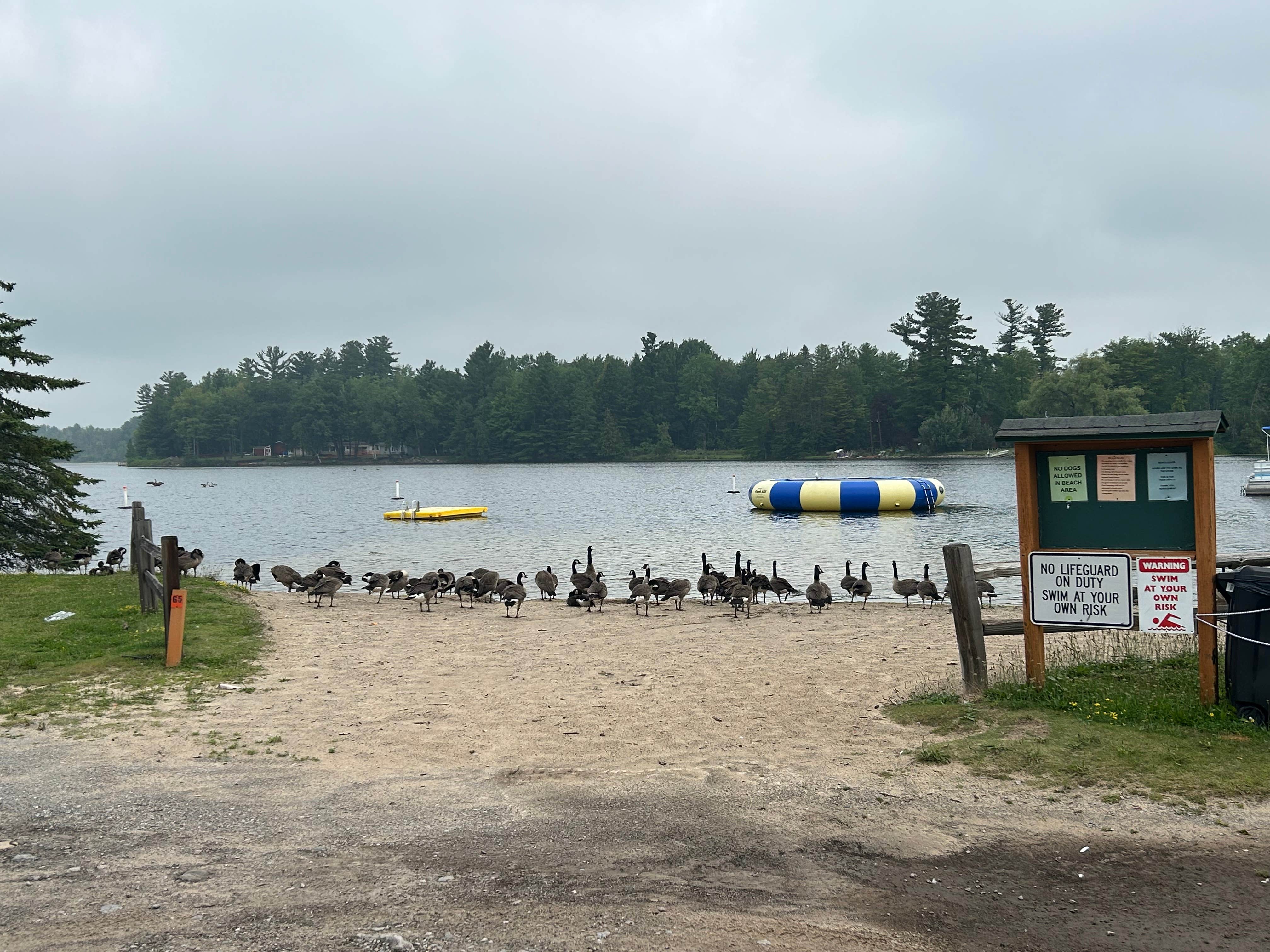 Camper-submitted photo at Campers Cove RV Park And Canoe Livery near Curran, MI