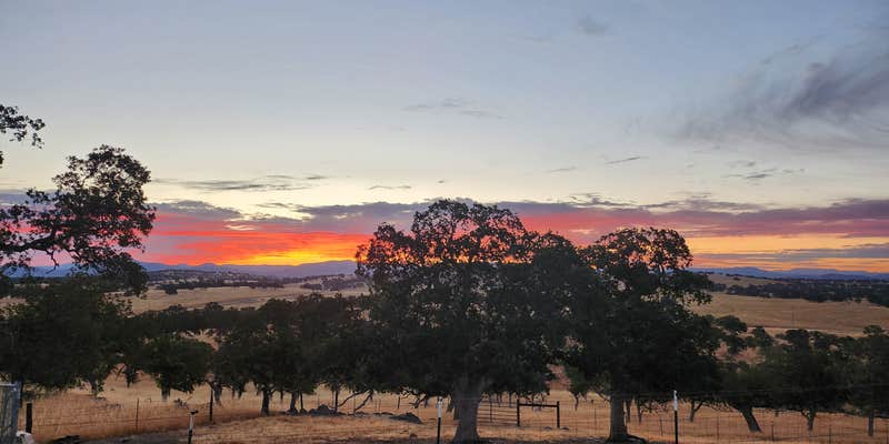 Camper submitted image from Camp Joy