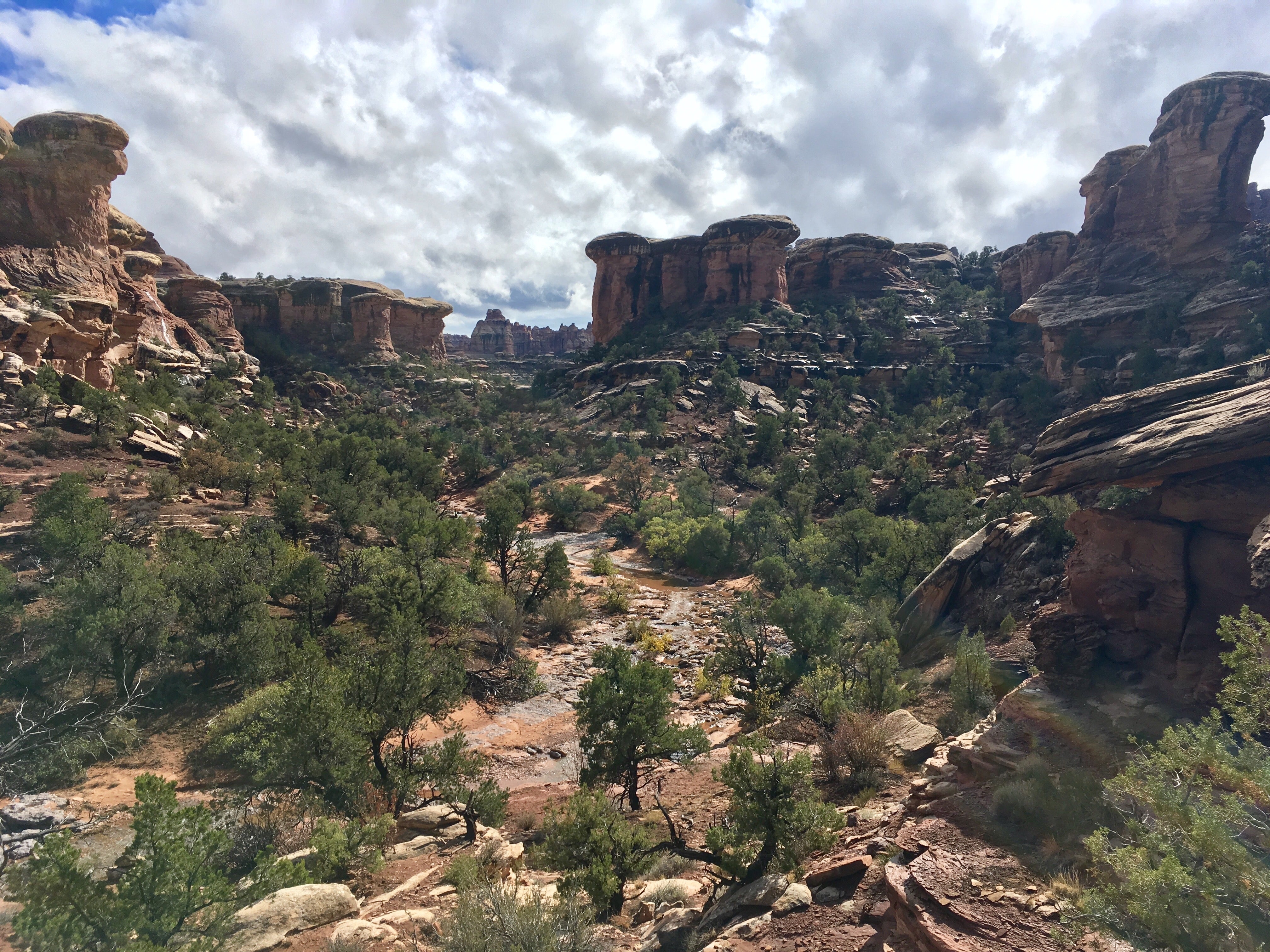 Camper submitted image from Elephant Canyon 1 (EC1) — Canyonlands National Park - 1