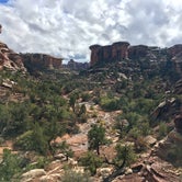 Review photo of Elephant Canyon 1 (EC1) — Canyonlands National Park by Troy W., October 25, 2018
