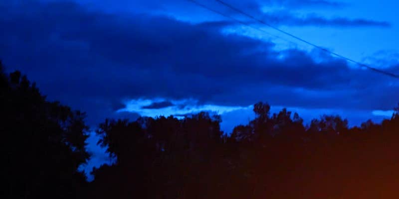 Camper submitted image from The Garden