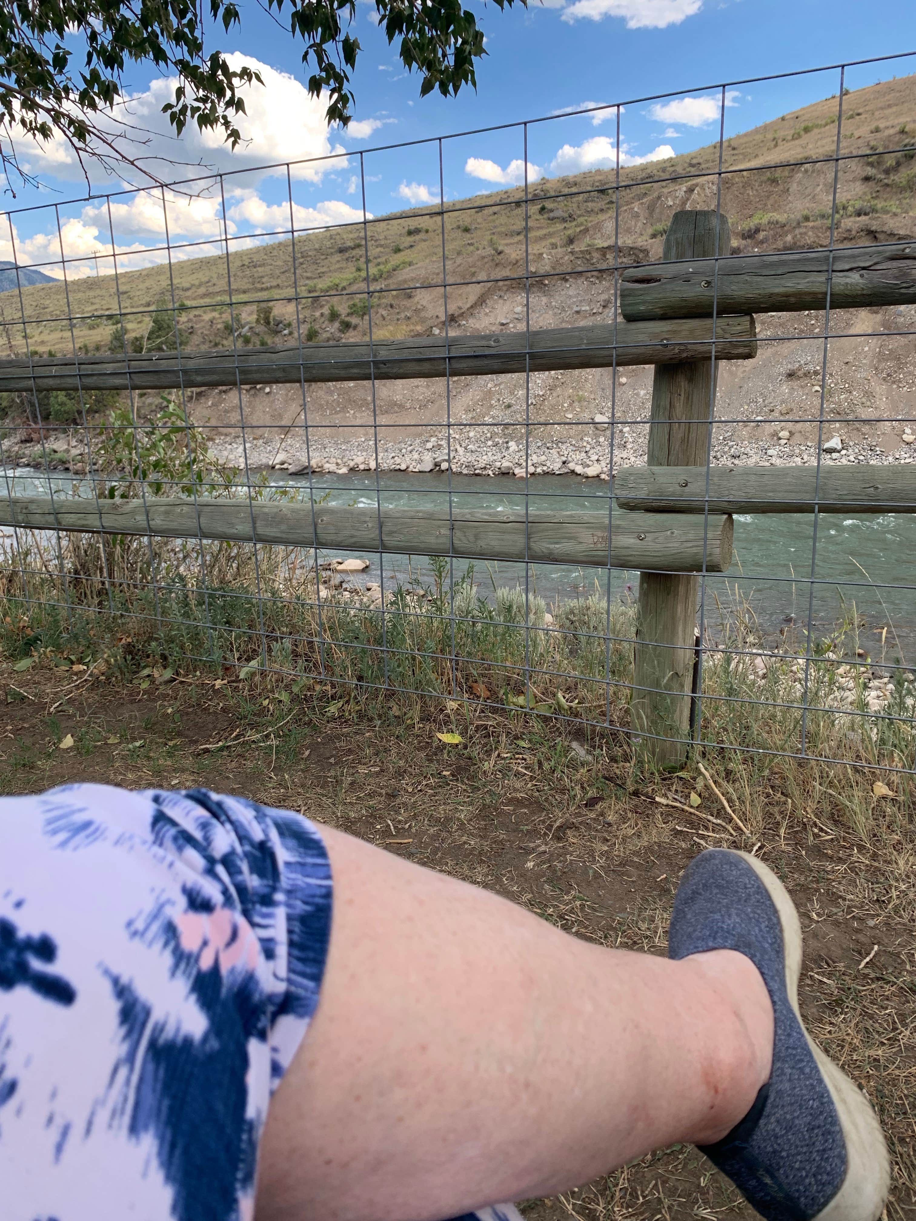 Camper-submitted photo at Yellowstone RV Park near Silver Gate, MT