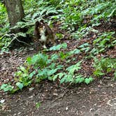 Review photo of Benton Lake Campground by Ashlee D., August 1, 2023