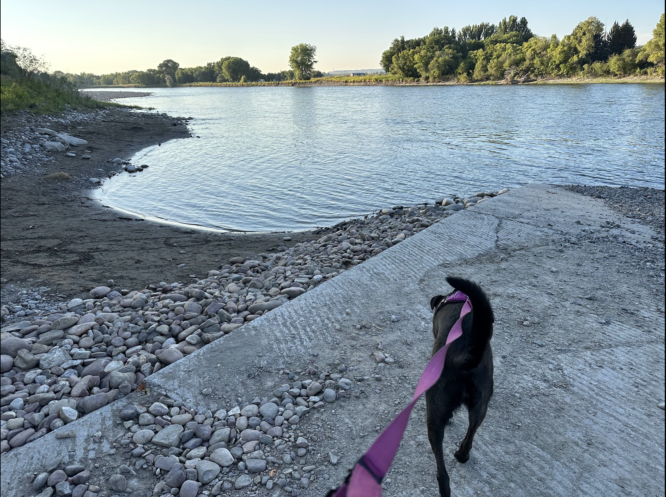 Matthew W.'s photo of camping with pets at Itch-Kep-Pe Park near Big Timber, MT