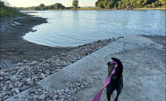 Matthew W.'s photo of camping with pets at Itch-Kep-Pe Park near Red Lodge, MT